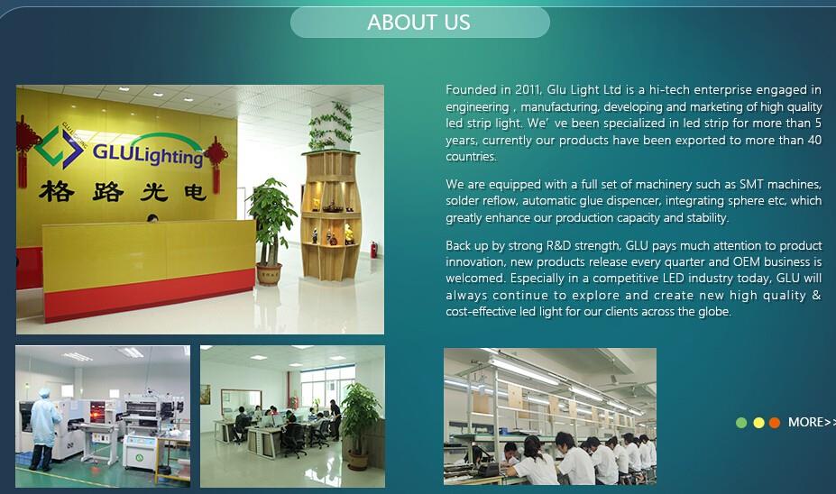china shenzhen professional top 2216 led strip factory