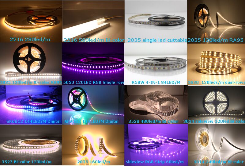 3 years warranty Cool white 6000k 2835 Samsung Led strip with 60 leds/m 