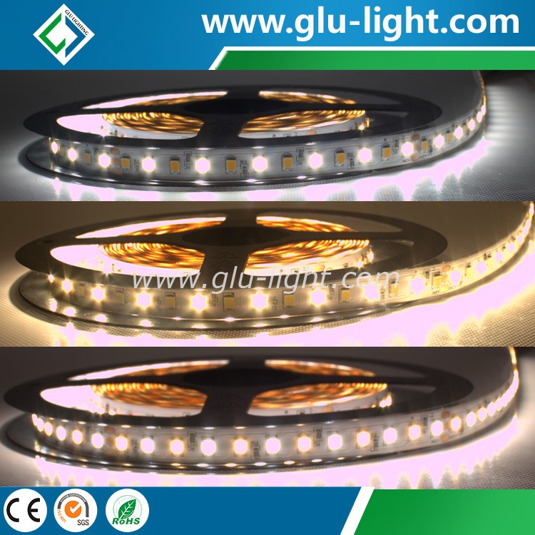 factory high quality high CRI Ra95 Bi color 2835 led strip for studio film industry