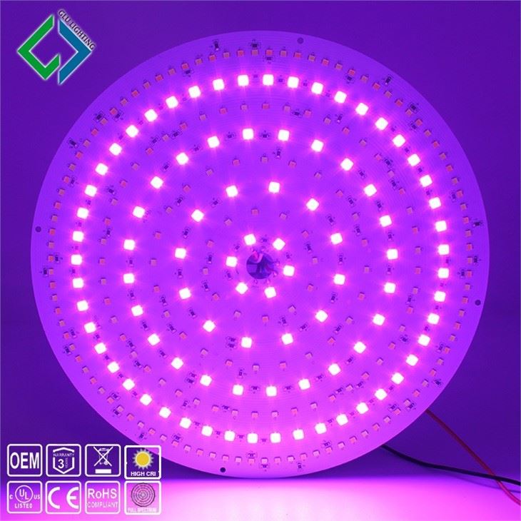 24V 5 cores Rgb + T+D 250mm 10 polegadas High Cri Ra95 Round Alu Led Board